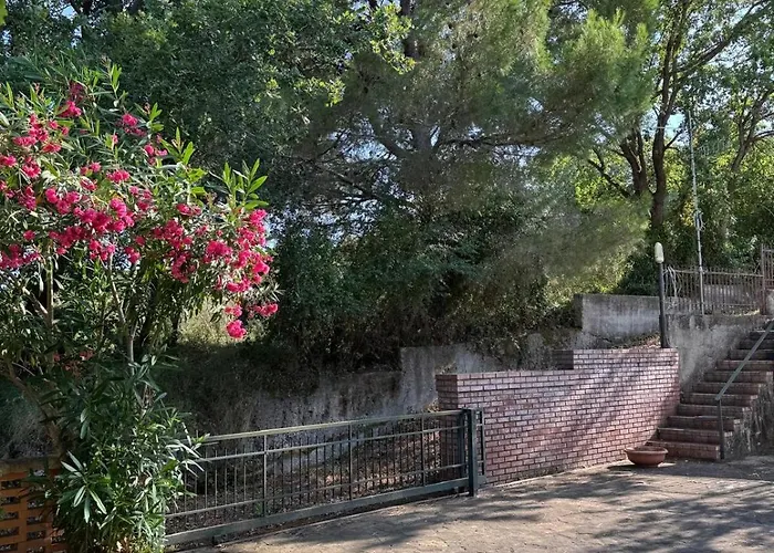 Desiderio D'ammore Cilento * 피오피